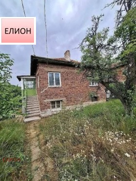 Будинок Тева, Перник