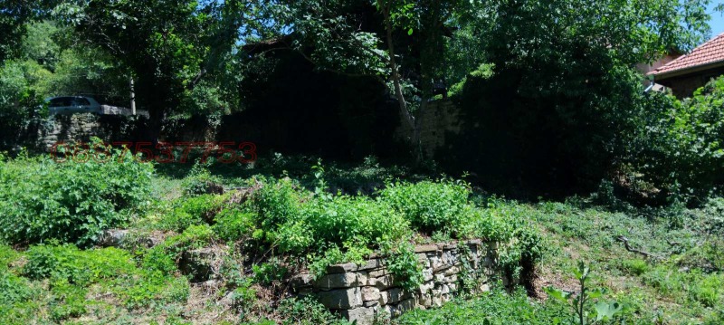 Продава КЪЩА, с. Крушево, област Габрово, снимка 9 - Къщи - 53082531