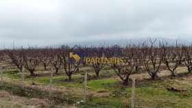 ������� ������ | Imot.bg � ����� ������ 3