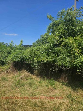 ������� ������ | Imot.bg � ����� ������ 5