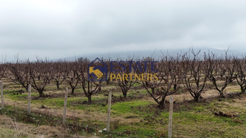 Продава ПАРЦЕЛ, с. Браниполе, област Пловдив, снимка 3 - Парцели - 53126110