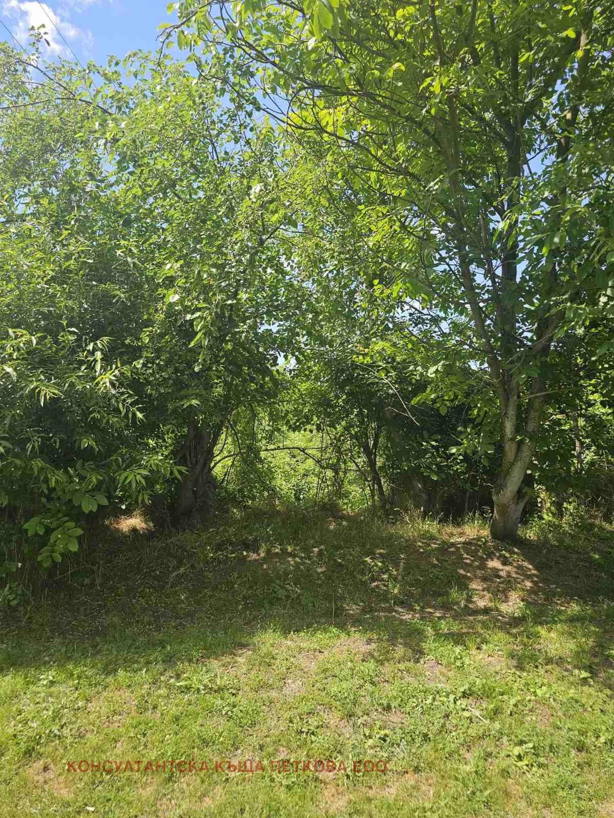 Продава ПАРЦЕЛ, с. Гостиня, област Ловеч, снимка 3 - Парцели - 55085050