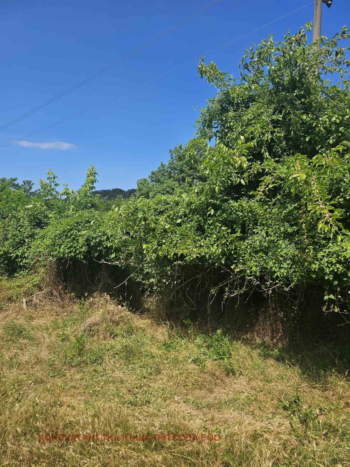 Продава ПАРЦЕЛ, с. Гостиня, област Ловеч, снимка 5 - Парцели - 55085050