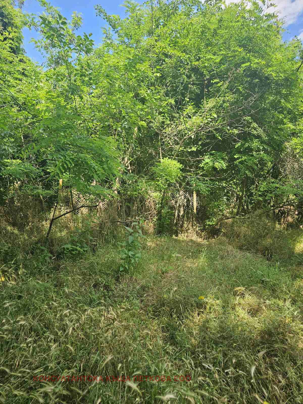 Продава ПАРЦЕЛ, с. Гостиня, област Ловеч, снимка 2 - Парцели - 55085050