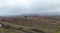 Продава ПАРЦЕЛ, с. Браниполе, област Пловдив, снимка 2