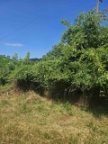 Продава ПАРЦЕЛ, с. Гостиня, област Ловеч, снимка 5