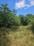 Продава ПАРЦЕЛ, с. Гостиня, област Ловеч, снимка 6