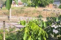 Продава КЪЩА, с. Зидарово, област Бургас, снимка 7