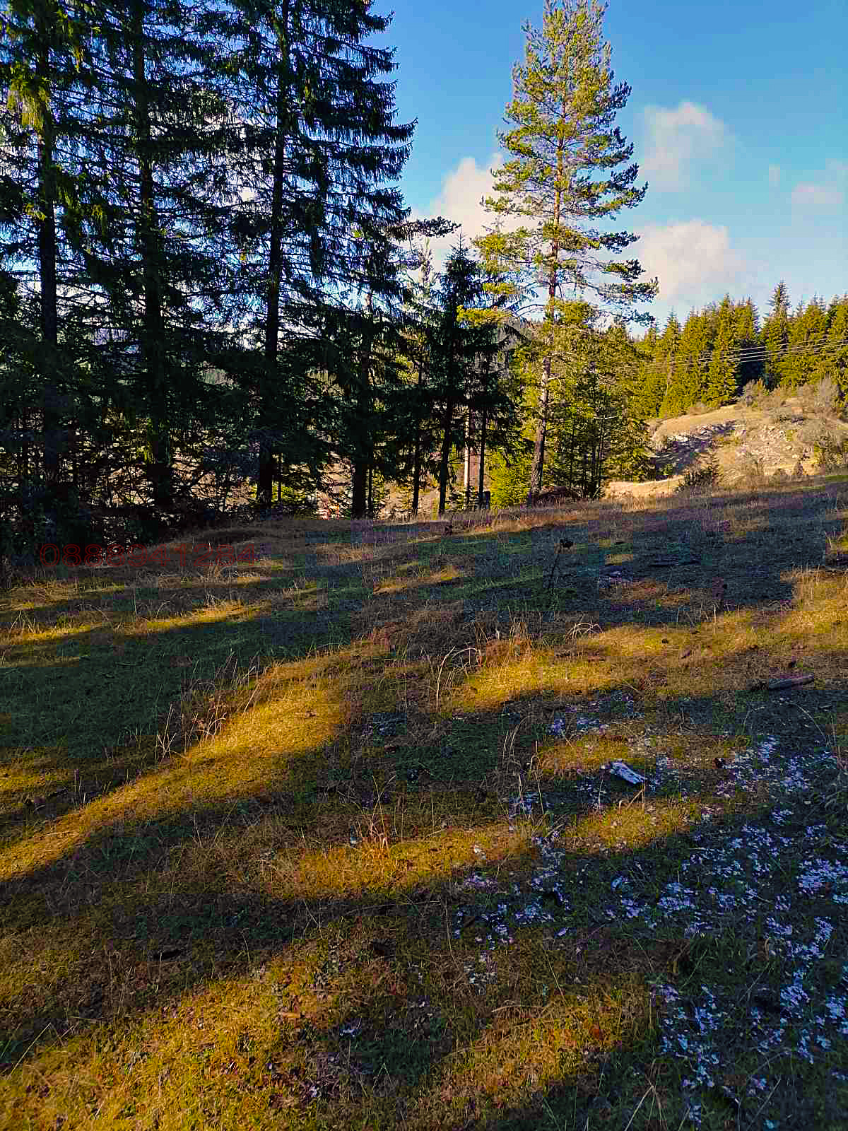 ������� ������ | Imot.bg � ����������� 5