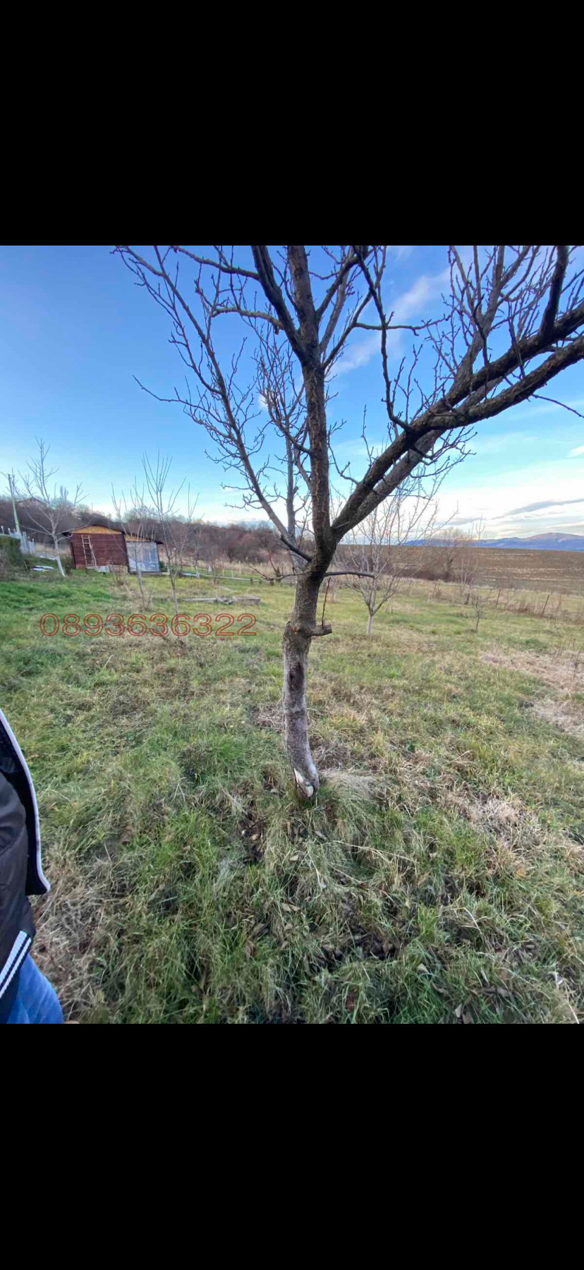 ������� ������ | Imot.bg � ����������� 4