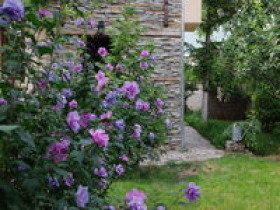 Продава  Къща област Пазарджик , гр. Пещера , 360 кв.м | 59744003 - изображение [4]