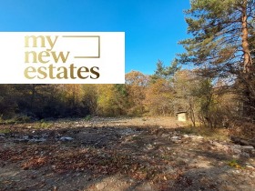 ������ ������� ������