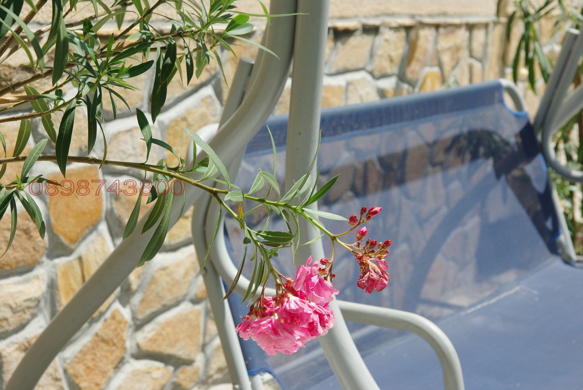 Продава КЪЩА, гр. Пазарджик, Център, снимка 5 - Къщи - 53602664