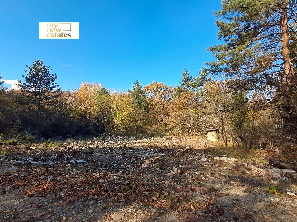 Продава ПАРЦЕЛ, гр. София, с. Долни Пасарел, снимка 4 - Парцели - 54105168