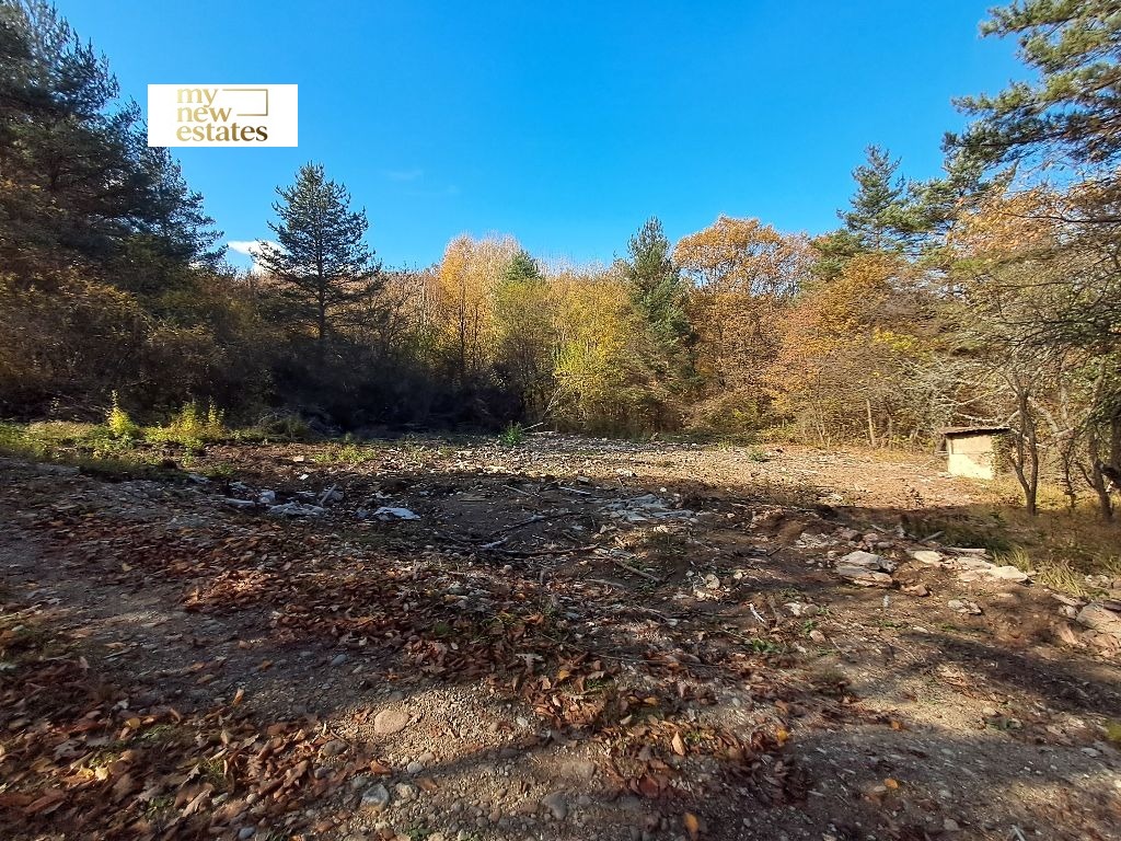 Продава ПАРЦЕЛ, гр. София, с. Долни Пасарел, снимка 3 - Парцели - 54105168