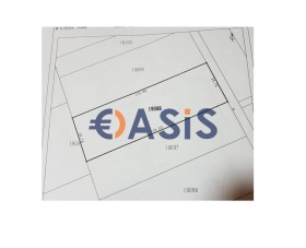 ������ ������� ������