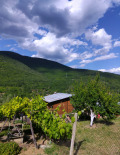 Продава КЪЩА, с. Горна Козница, област Кюстендил, снимка 3