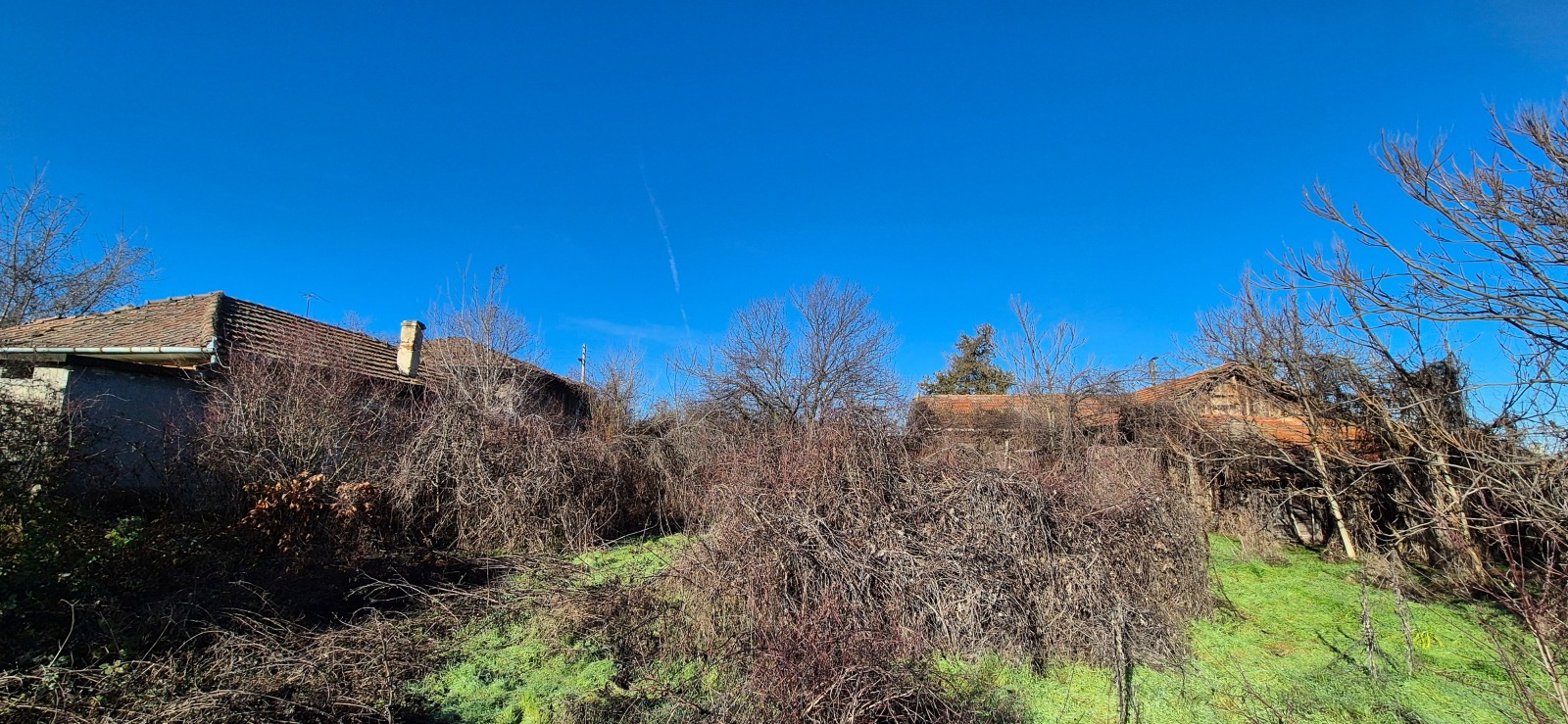 ������� ������ | Imot.bg � ����������� 8