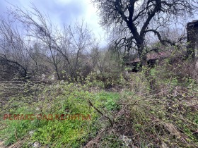 Hus Promishlena zona - Yug, Veliko Tarnovo 3