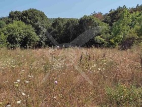 Spiknutí Indže vojvoda, oblast Burgas