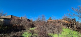 ������� ������ | Imot.bg � ����� ������ 8