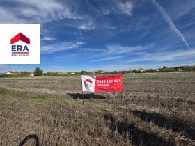 ����� ������� ������,�. ����������, ������ ���������