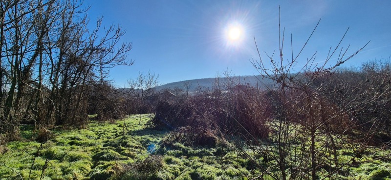 Продава ПАРЦЕЛ, с. Мерданя, област Велико Търново, снимка 7 - Парцели - 53266299