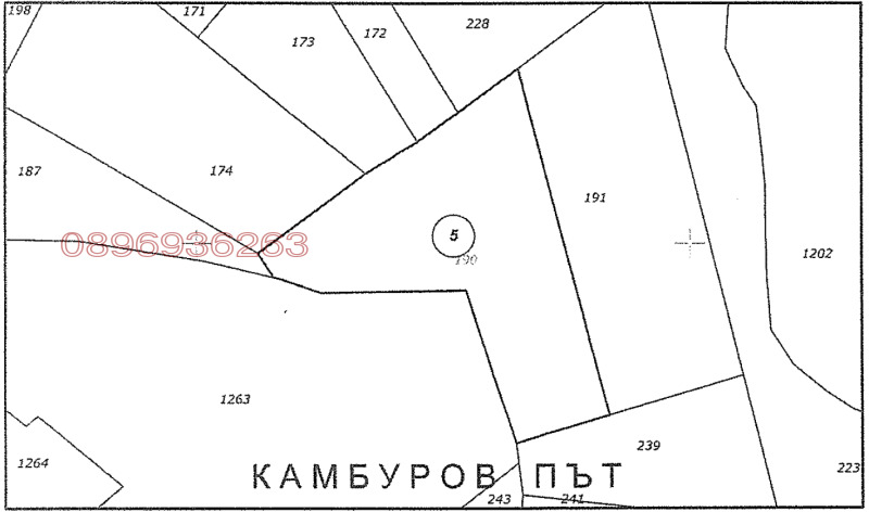 À venda  Terra região Pazardzhik , Batak , 8.991 tudo bem | 68059082