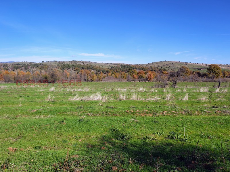 Продава ЗЕМЕДЕЛСКА ЗЕМЯ, с. Домлян, област Пловдив, снимка 9 - Земеделска земя - 52943139