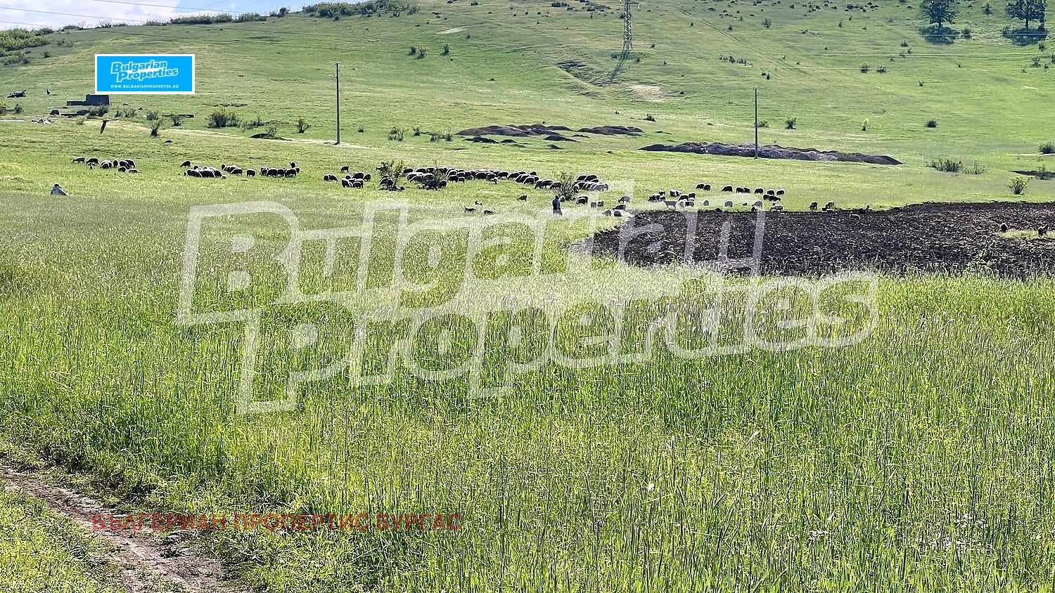 ������� ������ | Imot.bg � ����������� 13