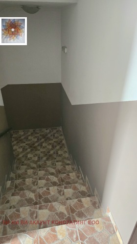 ����� ������� 2-�����,���� �����, ����� 2