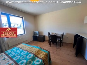 Studio Bansko, region Blagoevgrad 5