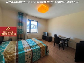 Studio Bansko, region Blagoevgrad 4