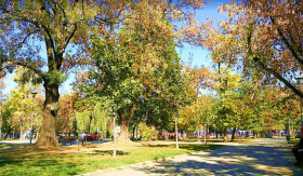 1 Schlafzimmer Zentar, Sofia 13