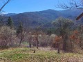 Продава КЪЩА, област София, гр. Своге • 70000 лв. • 32854362 — Holmes.bg