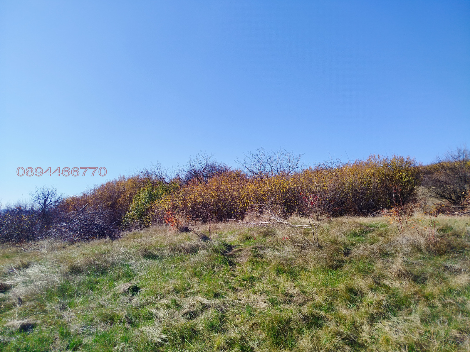 ������� ������ | Imot.bg � ����������� 4