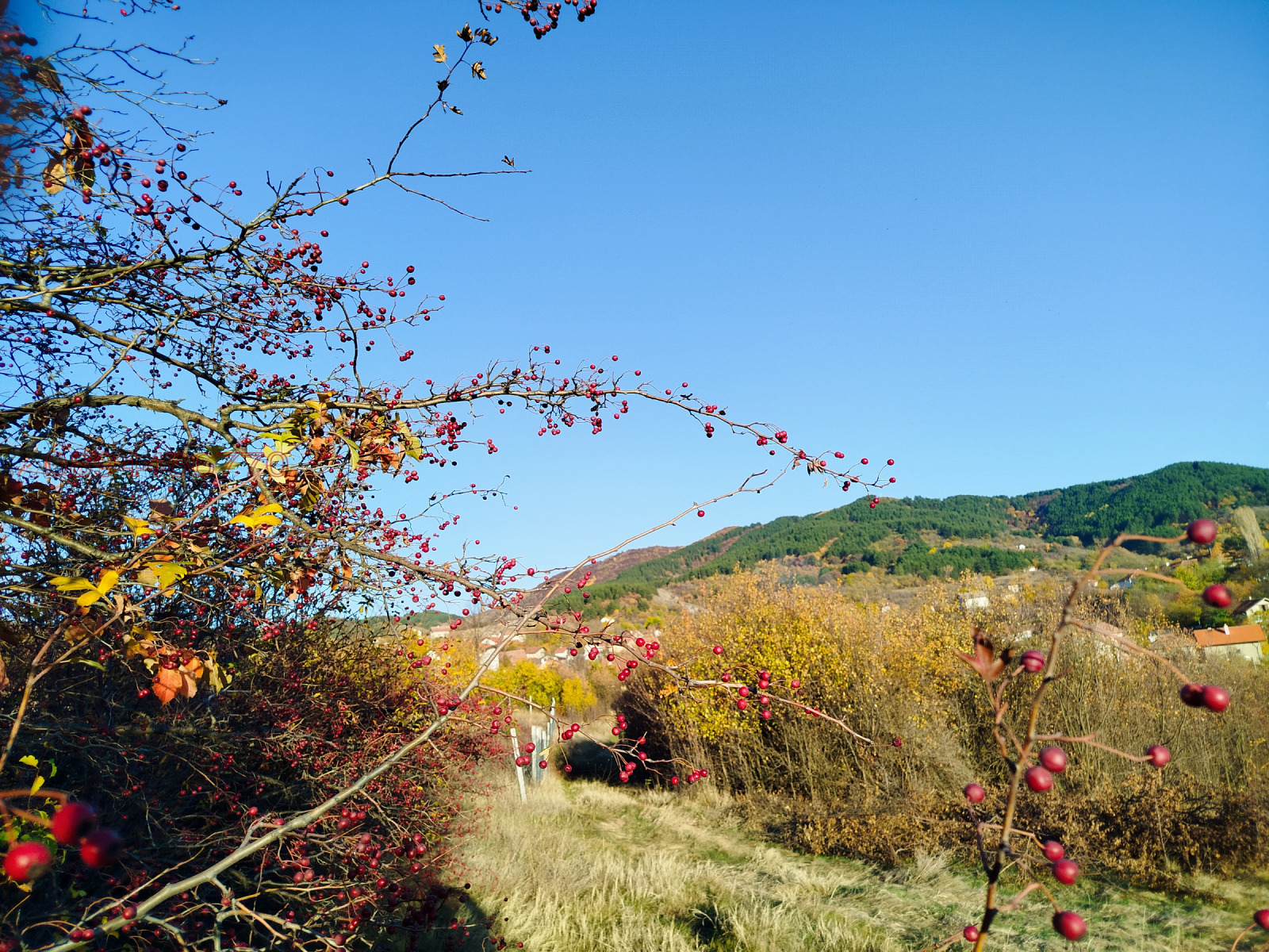 ������� ������ | Imot.bg � ����������� 17