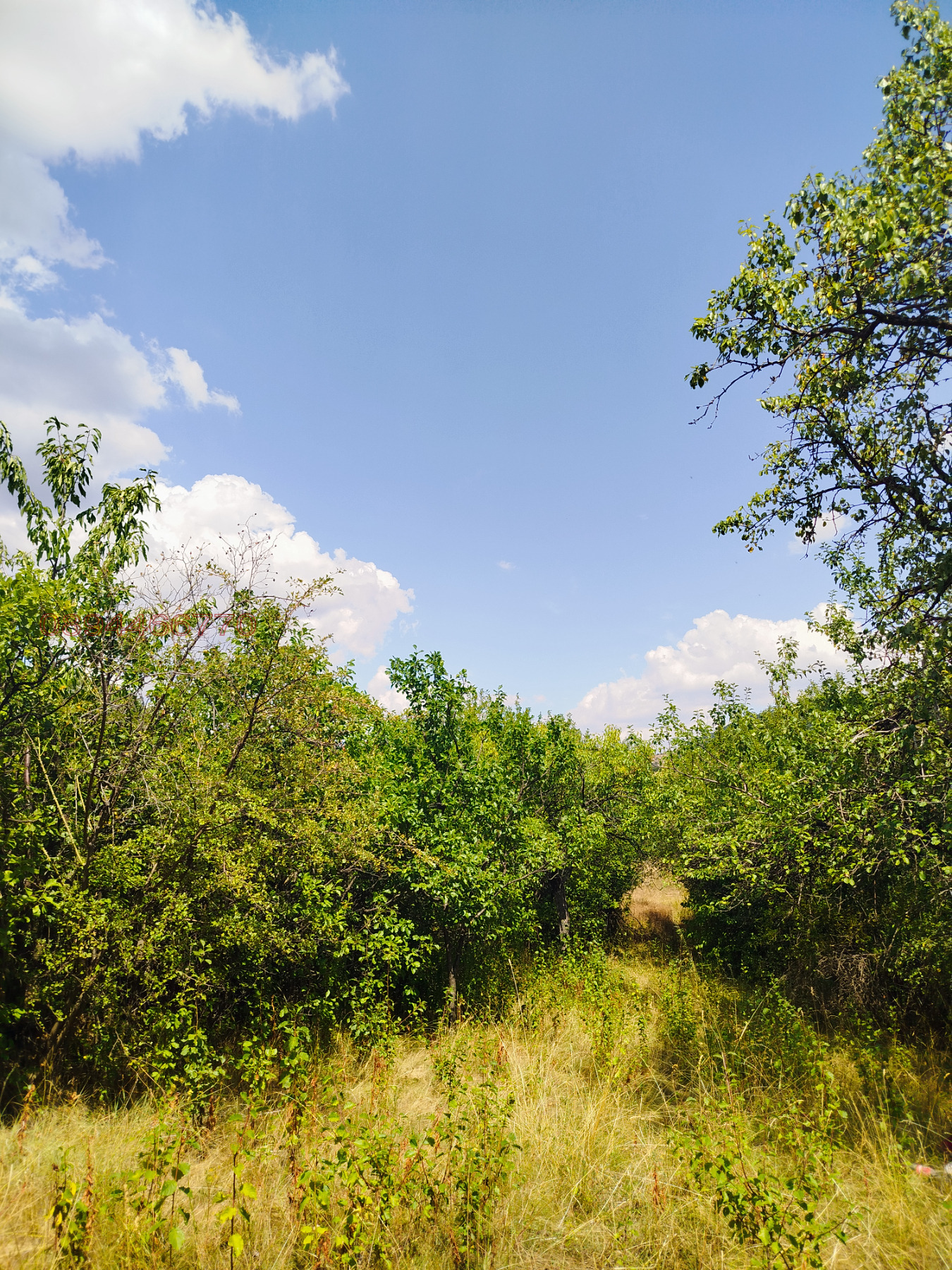 ������� ������ | Imot.bg � ����������� 11