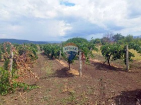 Casa Slantchevo, região Varna 15