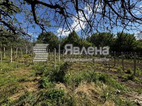 ������� ���� | Imot.bg � ����� ������ 8