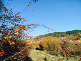 ������� ������ | Imot.bg � ����� ������ 17