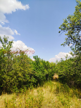 ������� ������ | Imot.bg � ����� ������ 11