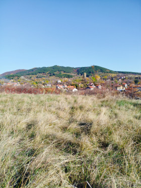 ������� ������ | Imot.bg � ����� ������ 8