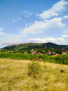 ����� ������� ������,�. ��������, ������ ������