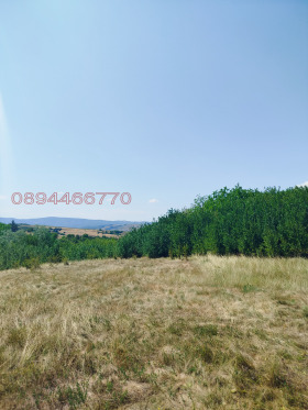 ������� ������ | Imot.bg � ����� ������ 6