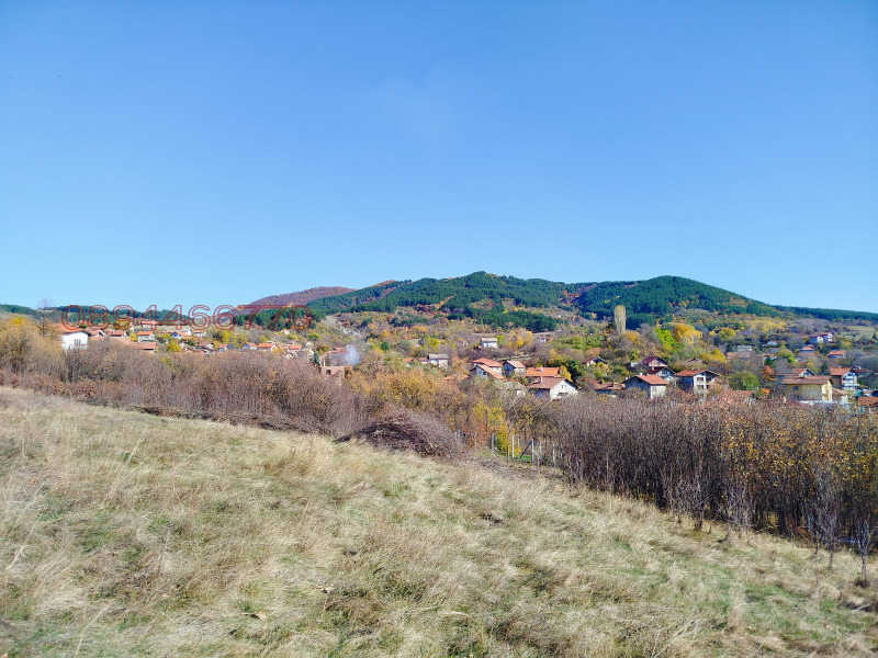 Продава ПАРЦЕЛ, с. Дивотино, област Перник, снимка 4 - Парцели - 52989379