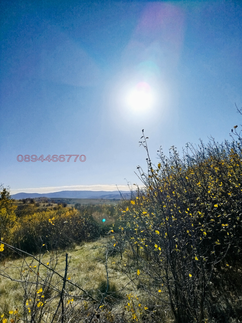 Продава ПАРЦЕЛ, с. Дивотино, област Перник, снимка 11 - Парцели - 52989379