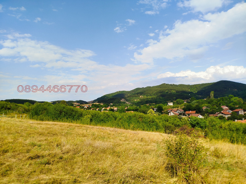 Продава ПАРЦЕЛ, с. Дивотино, област Перник, снимка 2 - Парцели - 53514288