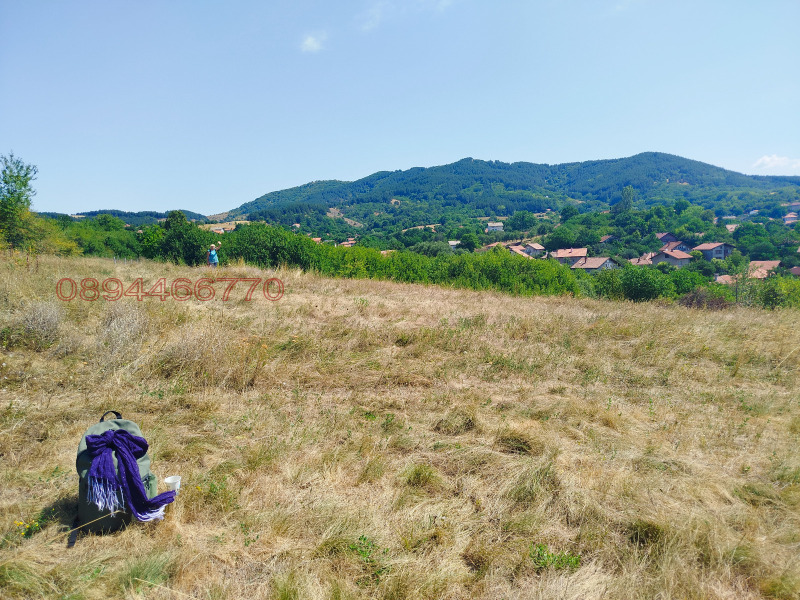 Продава ПАРЦЕЛ, с. Дивотино, област Перник, снимка 8 - Парцели - 52989379