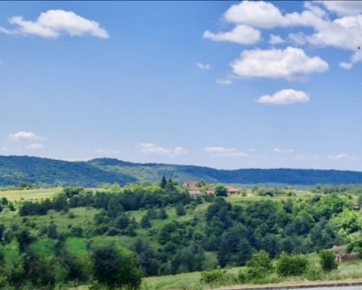 Продава ПАРЦЕЛ, гр. София, с. Плана, снимка 3 - Парцели - 53287159